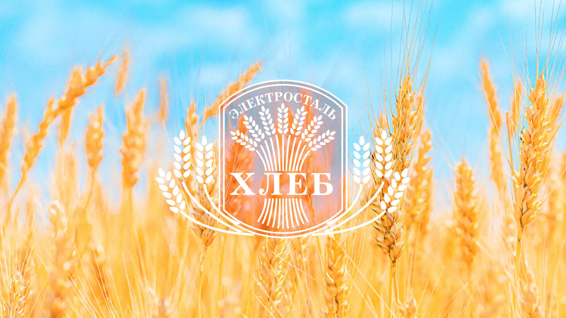 Создание сайта для хлебзавода в Королёве